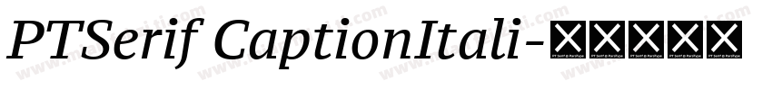 PTSerif CaptionItali字体转换